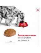 Royal Canin Medium Adult 7+ - Сухи храни