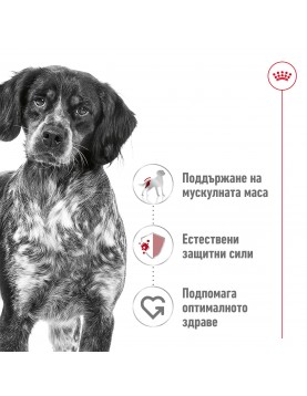 Royal Canin Medium Adult - Промо чувал 15кг + подарък 12 консерви Royal Canin Medium Adult 410г