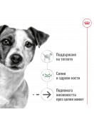 Royal Canin Mini Ageing 12+ - Сухи храни