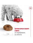 Royal Canin Mini Ageing 12+ - Сухи храни