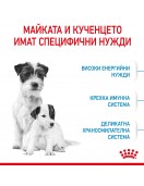 Royal Canin Mini Starter - Сухи храни