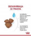 Royal Canin Mini Starter - Сухи храни