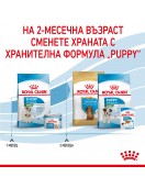 Royal Canin Mini Starter - Сухи храни