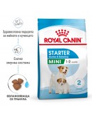 Royal Canin Mini Starter - Сухи храни