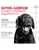 Лакомство Royal Canin Training Treats, 110г Лакомство Royal Canin Training Treats, 110г - Лакомства за кучета