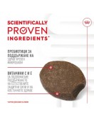 Лакомство Royal Canin Training Treats, 110г Лакомство Royal Canin Training Treats, 110г - Лакомства за кучета
