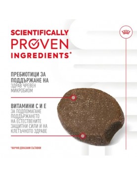 Royal Canin Immunity & Digestion Puppy Supplement , 100г
