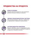 Royal Canin Adult Dog - Сухи храни