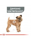 Royal Canin Care Dog Mini Dental - Сухи храни