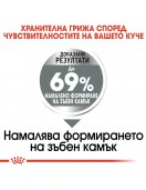 Royal Canin Care Dog Mini Dental - Сухи храни