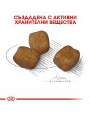 Royal Canin Care Dog Mini Dental - Сухи храни