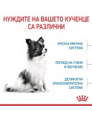 Royal Canin X-Small Puppy - Сухи храни