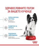 Royal Canin X-Small Puppy - Сухи храни