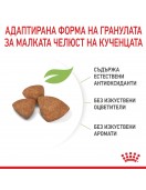 Royal Canin X-Small Puppy - Сухи храни