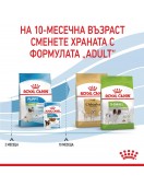 Royal Canin X-Small Puppy - Сухи храни