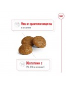 Royal Canin X-Small Adult - Сухи храни