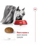 Royal Canin X-Small Adult - Сухи храни