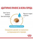 Royal Canin Yorkshire Adult 8+ Royal Canin Yorkshire Adult 8+ - Сухи храни