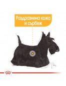 Пауч за кучета - Royal Canin Dermacomfort Loaf - Грижа за кожата и козината