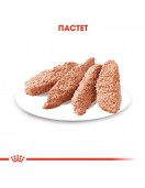 Royal Canin Yorkshire Adult Loaf Pouch - Консервирани храни
