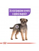 Пауч за кучета - Royal Canin Sterilised Dog Loaf - Грижа при наднормено тегло