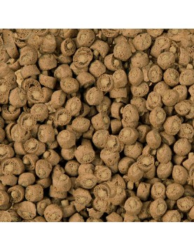 Sera Adult Carnivore DUO Pellets