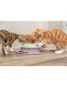 Кръг с топчета 24см Кръг с топчета 24см - Играчки и драскала