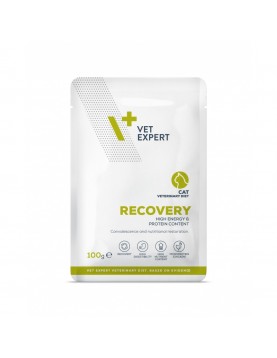 Vet Expert Diet Recovery Cat - пауч 100г