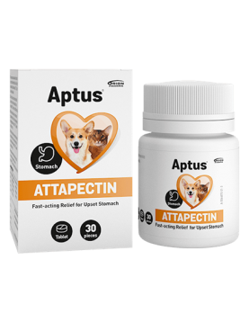 Atapectin - таблетки - Хранителни добавки