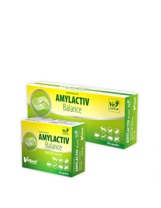 Vetfood Amylactiv Balance - Хранителни добавки