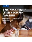 Foresto каишка за куче - Противопаразитен нашийник за кучета и котки Foresto каишка за куче - Противопаразитен нашийник за кучета и котки - Противопаразитни