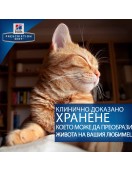 Hill`s Prescription Diet Canine L/d - консерва 370г - ВЕТЕРИНАРНИ ДИЕТИ