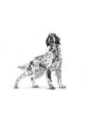 Royal Canin VHN Canine Mobility - Грижа за костите и ставите
