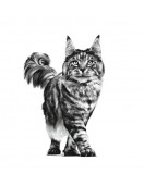 Royal Canin VHN Feline Mobility Грижа за костите и ставите Royal Canin VHN Feline Mobility - Грижа за костите и ставите