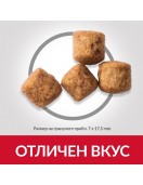 Hill’s Science Plan Canine Mature Large Breed Chicken - Сухи храни