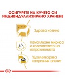 Royal Canin Maltese Adult - Сухи храни