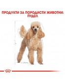 Royal Canin Poodle Adult - Сухи храни