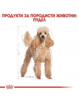 Royal Canin Poodle Adult 