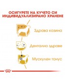 Royal Canin Poodle Adult - Сухи храни