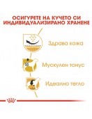 Royal Canin Pug Adult - Сухи храни