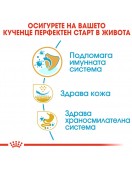 Royal Canin Pug Puppy - Сухи храни