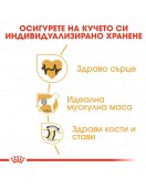 Royal Canin Rottweiler Adult - Сухи храни