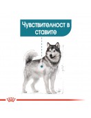 Royal Canin Care Dog Maxi Joint Care - Сухи храни