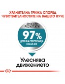 Royal Canin Care Dog Maxi Joint Care - Сухи храни