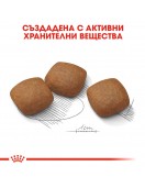Royal Canin Care Dog Maxi Joint Care - Сухи храни