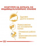 Пауч за котки - Royal Canin Persian - Консервирани храни