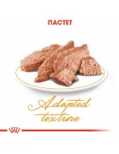 Пауч за котки - Royal Canin Persian - Консервирани храни