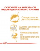 Пауч за котки - Royal Canin Persian - Консервирани храни