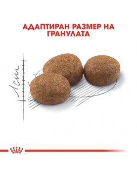 Royal Canin Sterilised Cat - Промо чувал 10+2кг
