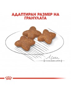 Royal Canin Mini Adult - Промо чувал 8+1кг